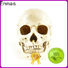 Ennas halloween figurines collectibles promotional
