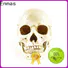 Ennas halloween figurines collectibles promotional